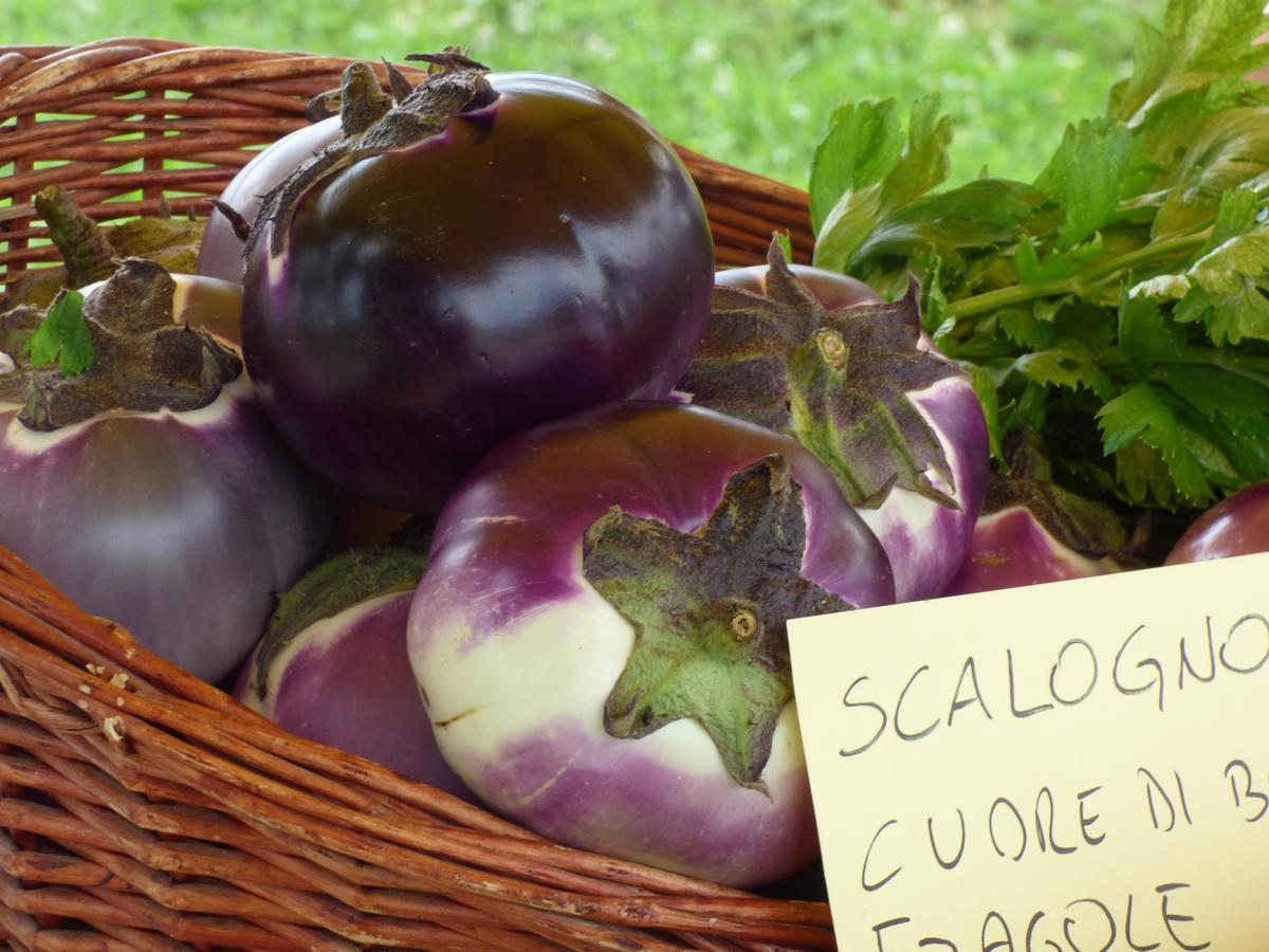 Agriturismo La Sforzata Collegno Eksteriør billede